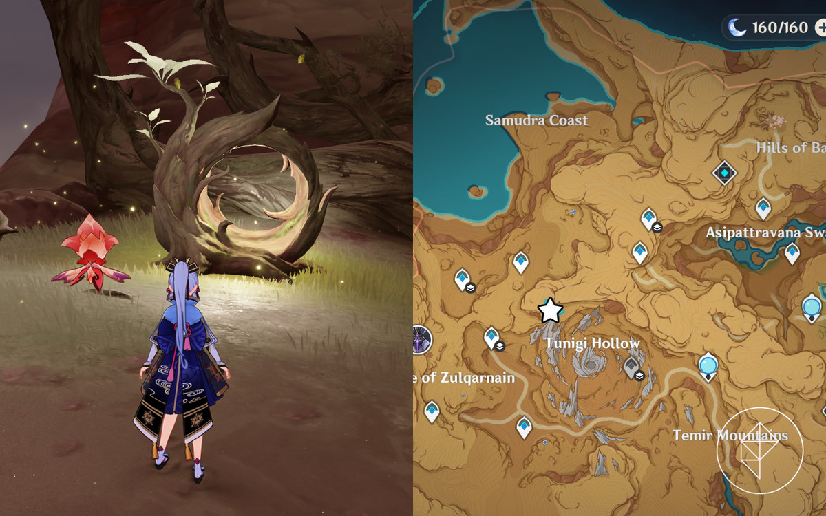 Fravashi Tree Posizione 10 in Genshin Impact indicata da Ayaka in piedi di fronte all'albero con Sorush al suo fianco e una mappa.