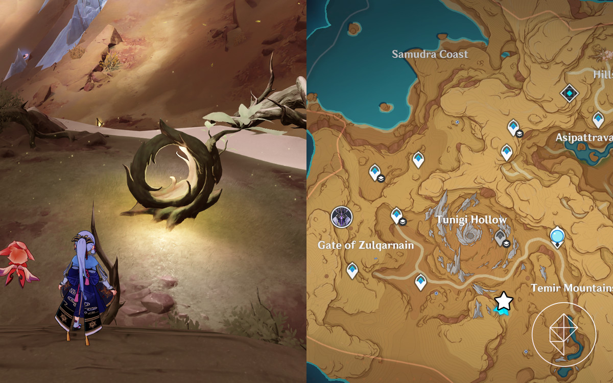 Posizione dell'albero Fravashi 8 in Genshin Impact indicata da uno screenshot del gioco e una mappa.