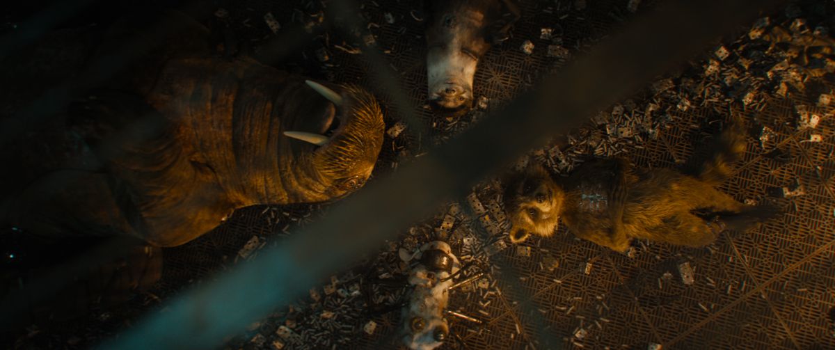 Rocket Raccoon (doppiato da Bradley Cooper) giace sulla schiena in una gabbia con i suoi amici animali sperimentali Teefs (un tricheco con ruote aggiunte), Lylla (una lontra con braccia meccaniche) e Fllor (un coniglio bianco con zampe di ragno robot) in una scena di Guardiani della Galassia Vol.  3