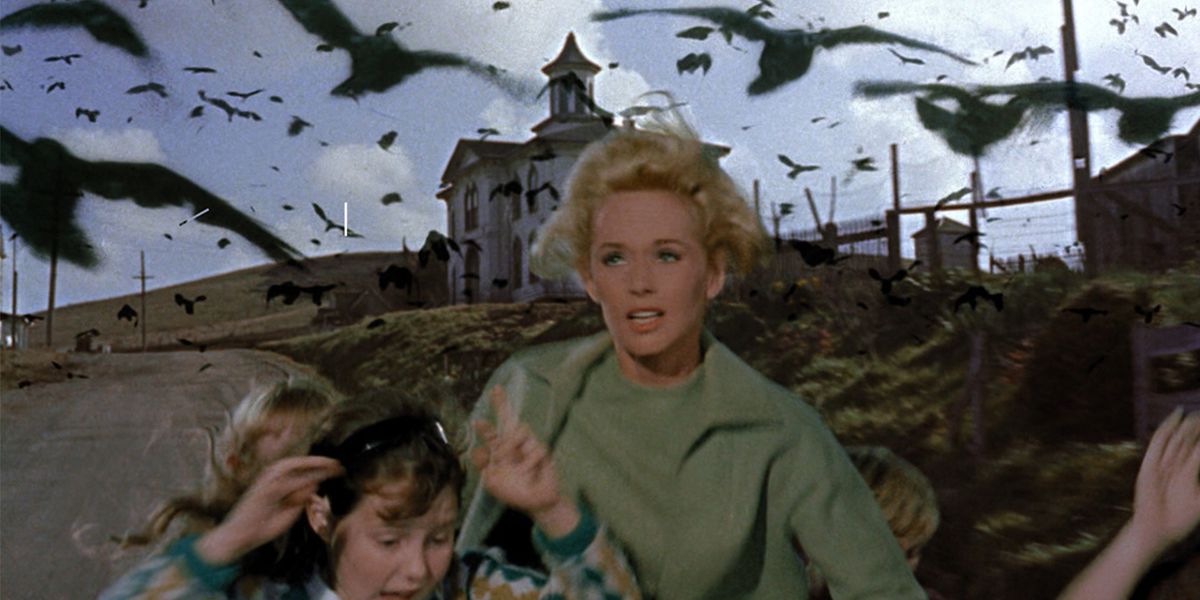 Tippi Hedren fugge da uno stormo di uccelli in Gli uccelli di Alfred Hitchcock