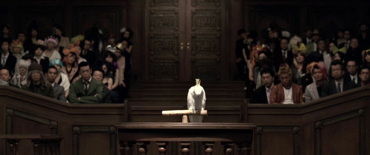 Un pappagallo viene messo sul banco dei testimoni nell'adattamento live-action di Ace Attorney