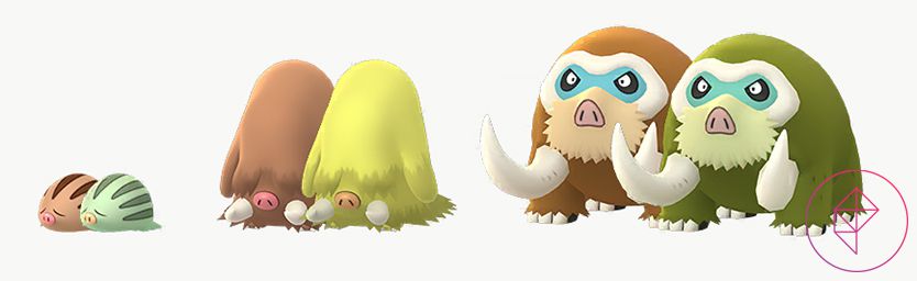 Shiny Swinub, Piloswine e Mamoswine in Pokémon Go con le loro forme regolari.  Shiny Swinub diventa verde, mentre Piloswine e Mamoswine diventano gialli