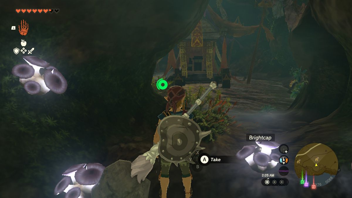 Link entra nella stanza del forziere dall'altra parte della cascata in Zelda: Tears of the Kingdom