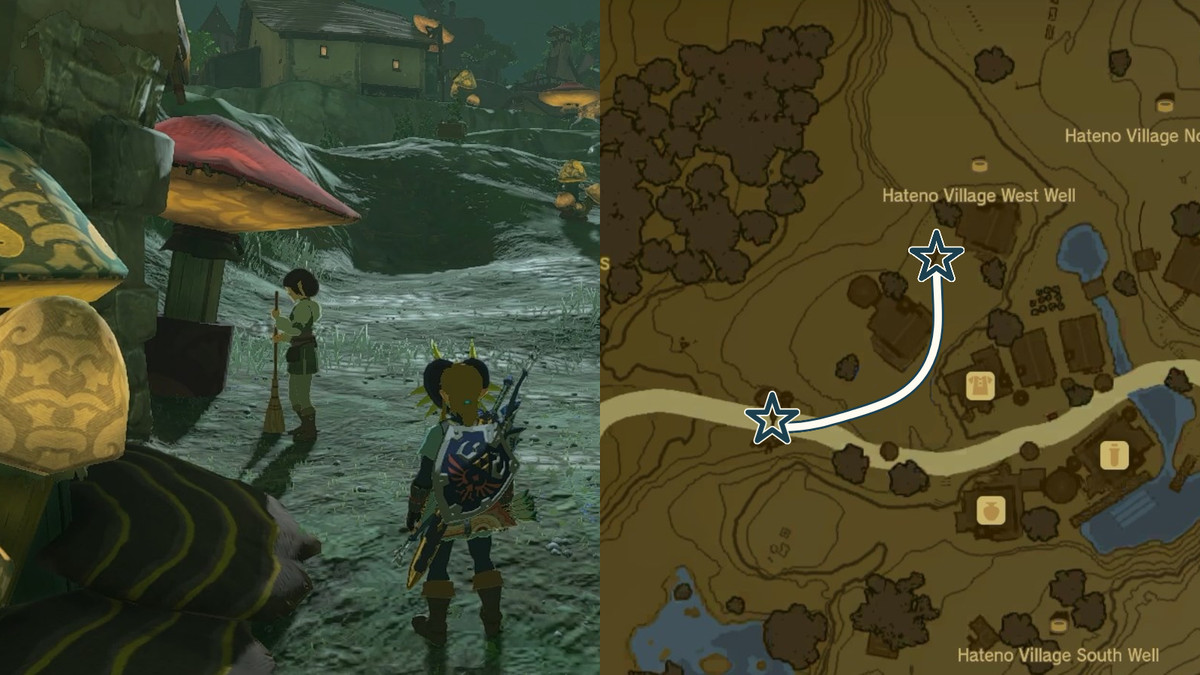 Percorso Tamana durante l'avventura secondaria del Team Cece o del Team Reede in The Legend of Zelda: Tears of the Kingdom