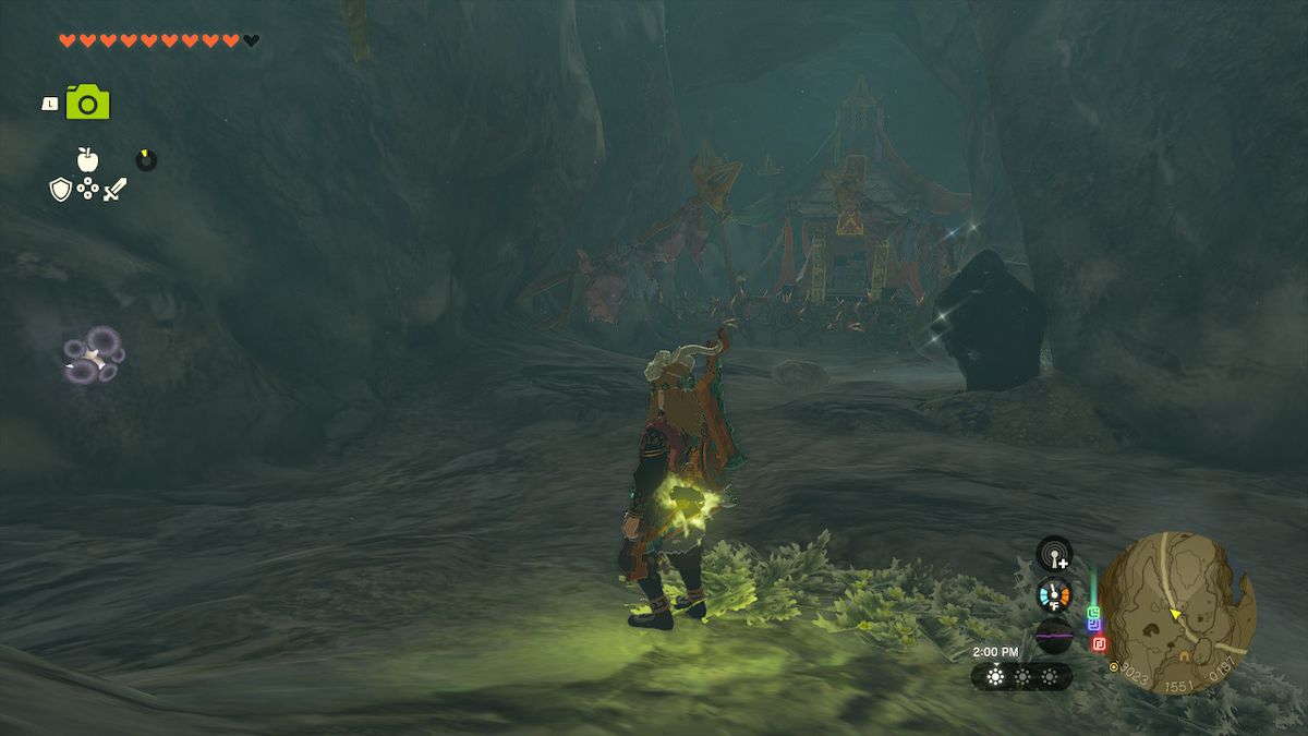 Link si trova vicino a una stanza del tesoro, che è sorvegliata da un muro di vite in Zelda: Tears of the Kingdom