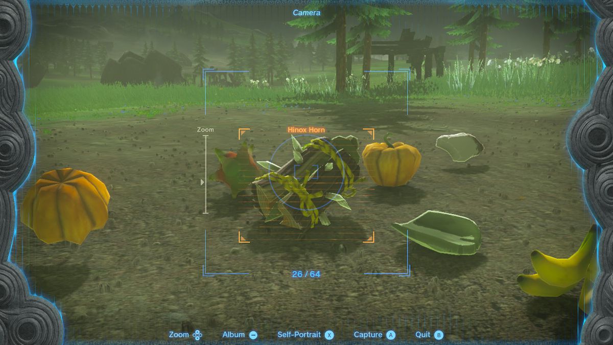 Link scatta una foto di un mazzo di frutta a terra in Zelda Tears of the Kingdom.