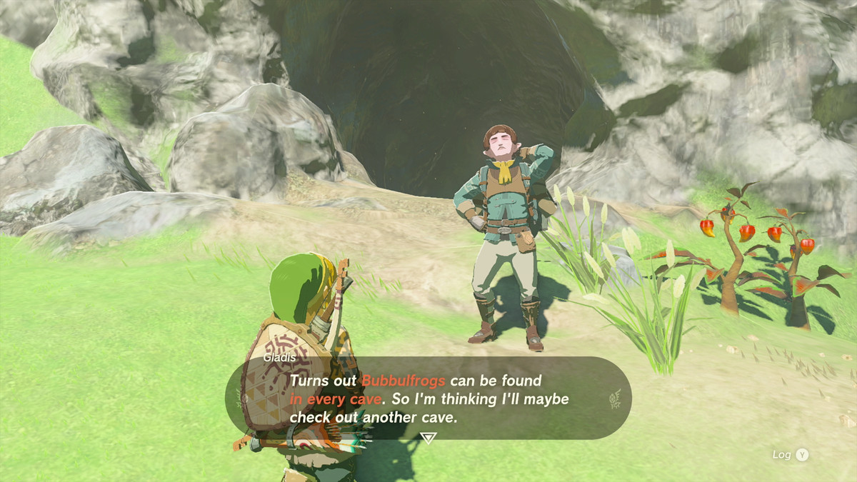Link che parla con Gladis davanti a una grotta