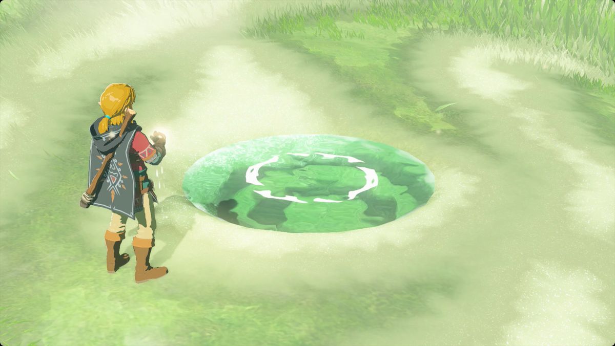The Legend of Zelda: Tears of the Kingdom Link in piedi accanto a una pozza di Tear of the Dragon.