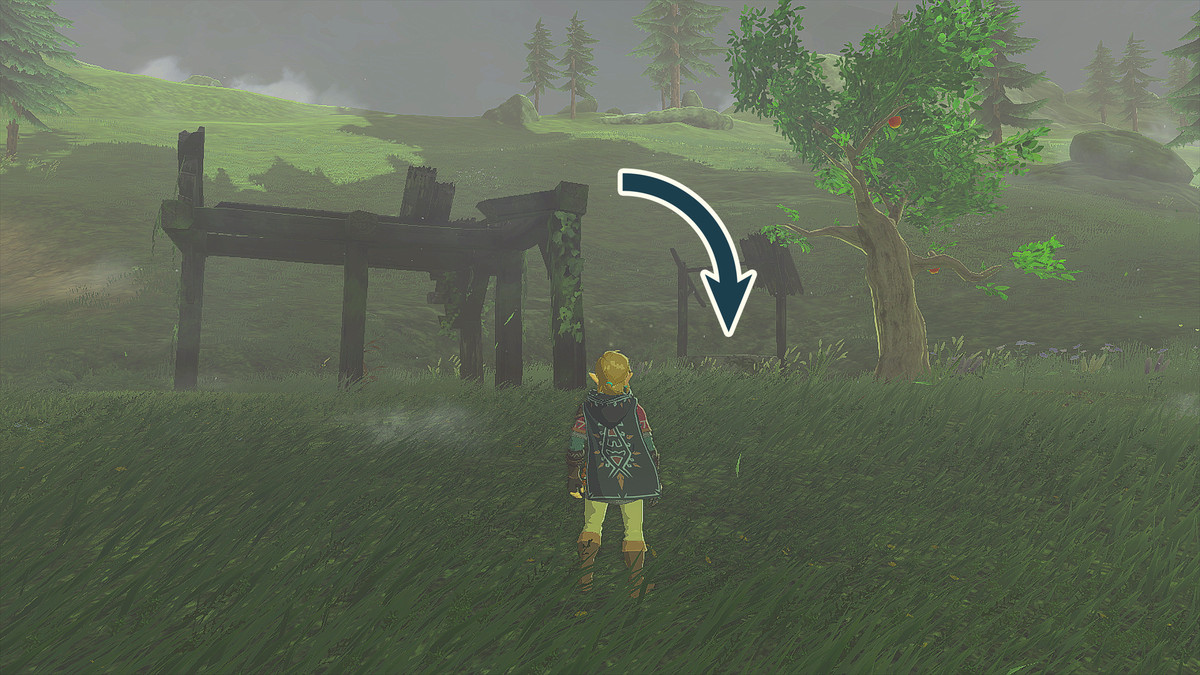 The Legend of Zelda: Tears of the Kingdom Link in piedi fuori da Elma Knolls Well.