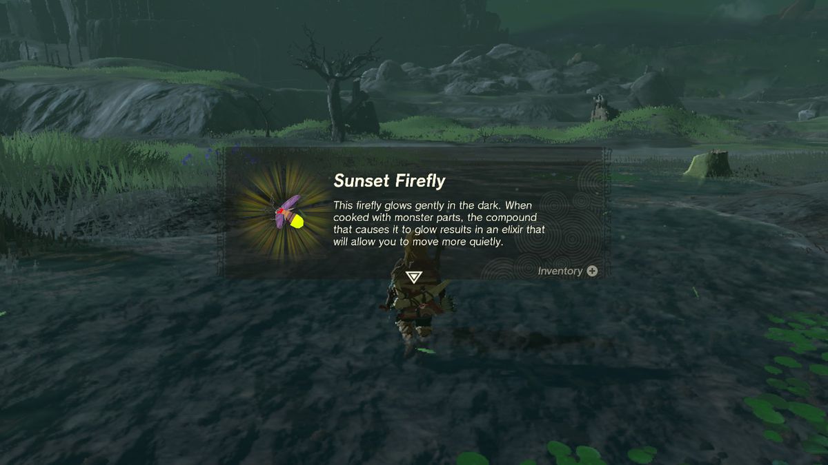 La descrizione di una lucciola al tramonto in The Legend of Zelda: Tears of the Kingdom
