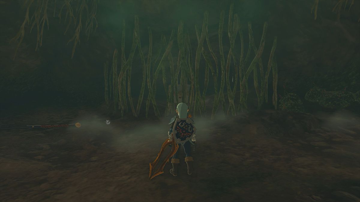 Forziere nascosto dietro i rampicanti nella grotta del Monte Dunsel in The Legend of Zelda: Tears of the Kingdom