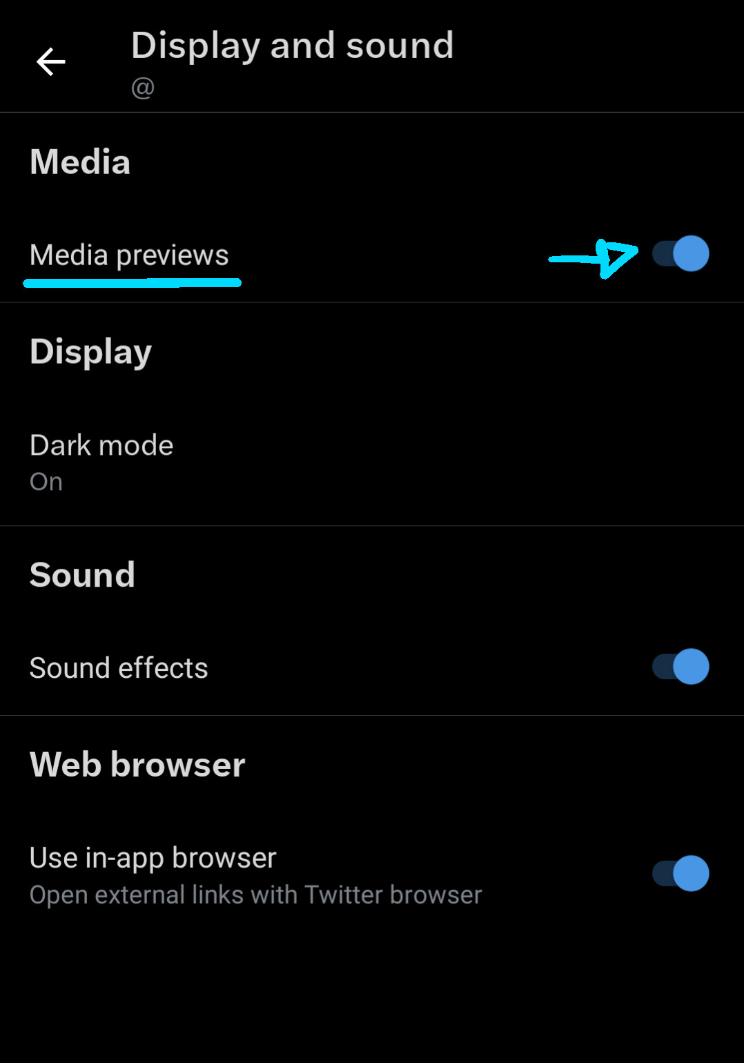 Il sottomenu display e audio nelle impostazioni di accessibilità di Twitter, con la posizione 