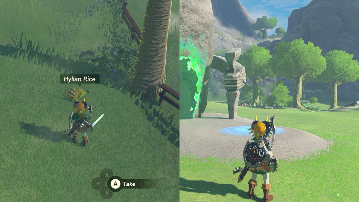 Link guardando del riso Hylian appena tagliato e alcuni alberi dietro il Santuario Sifumim in The Legend of Zelda: Tears of the Kingdom.