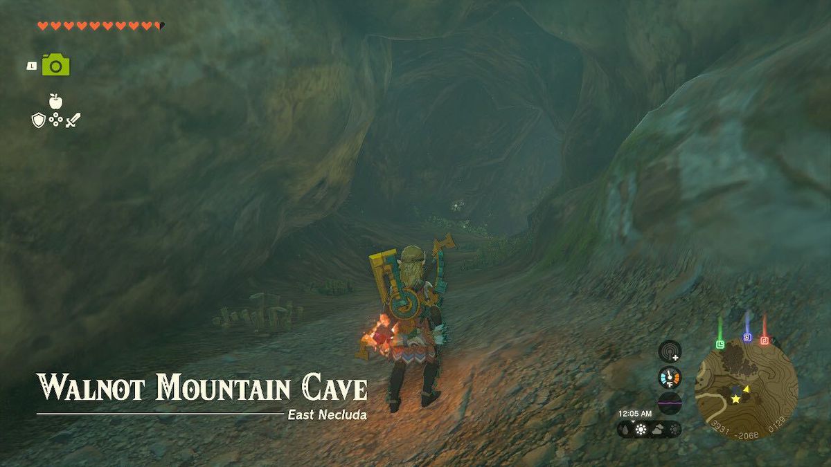 Link si trova all'ingresso della Walnot Mountain Cave in Zelda: Tears of the Kingdom