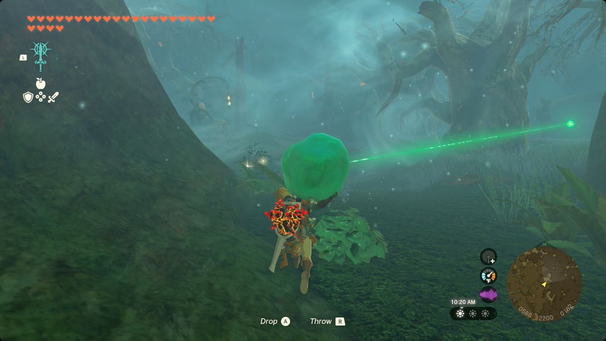 The Legend of Zelda: Tears of the Kingdom Link che trasporta il cristallo del santuario al Santuario di Pupunke nella foresta di Korok.