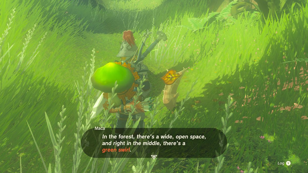 Link che parla di un piccolo Korok in un campo verde in Zelda: TOTK.