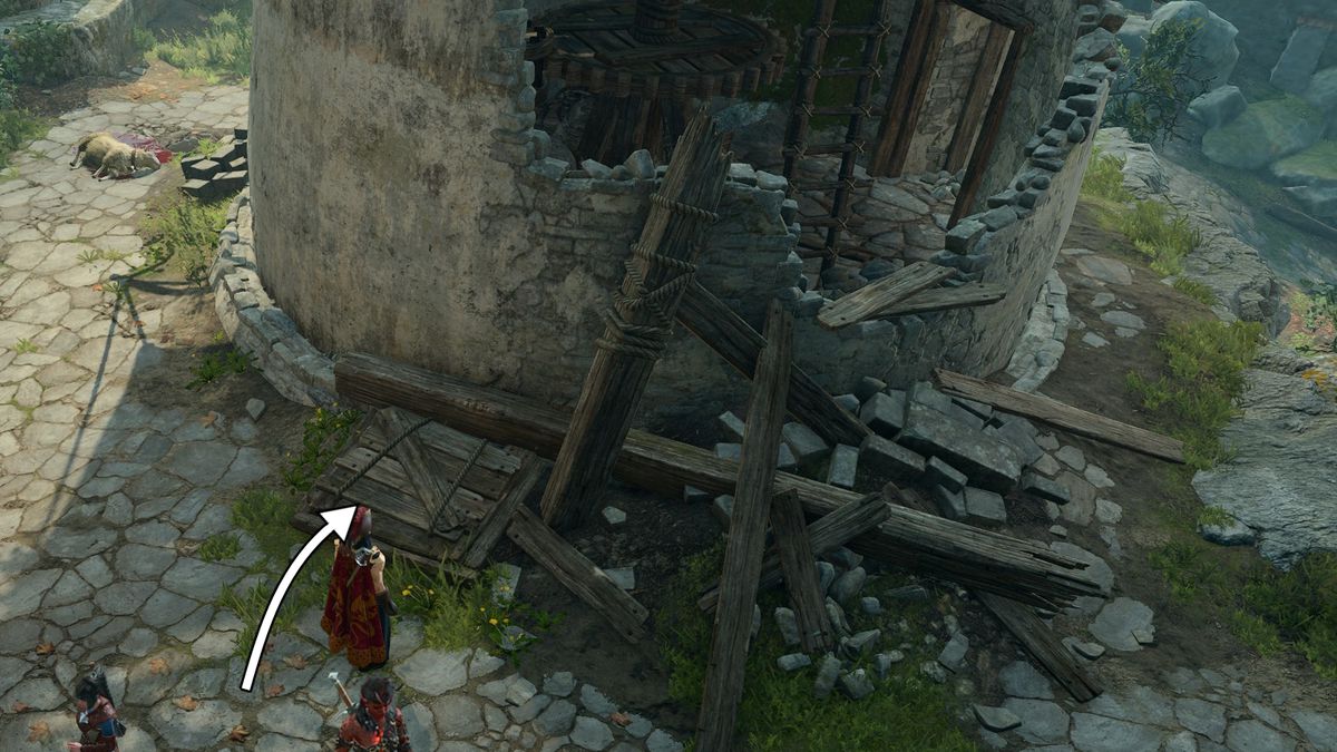 Posizione del portello di legno durante la missione Salva lo gnomo in Baldur's Gate 3.