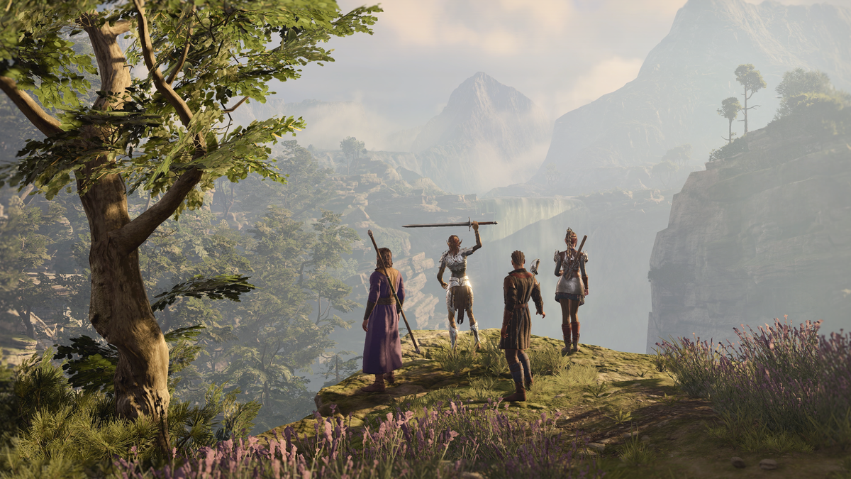 Un gruppo di quattro persone si affaccia su una scogliera in Baldur's Gate 3.