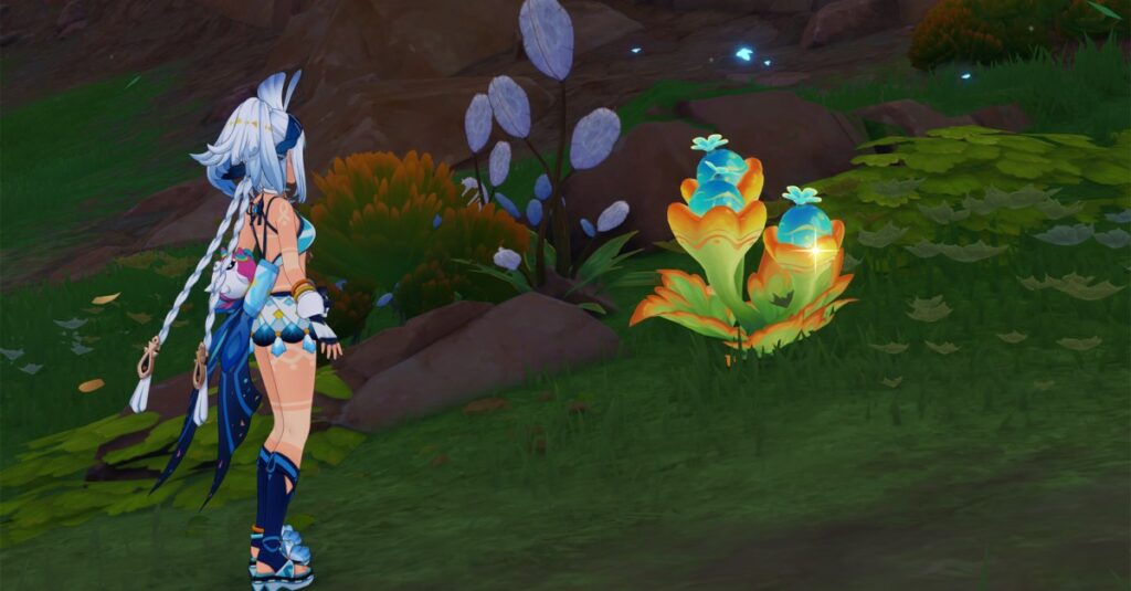 Dove trovare le bacche Quenepa in Genshin Impact
