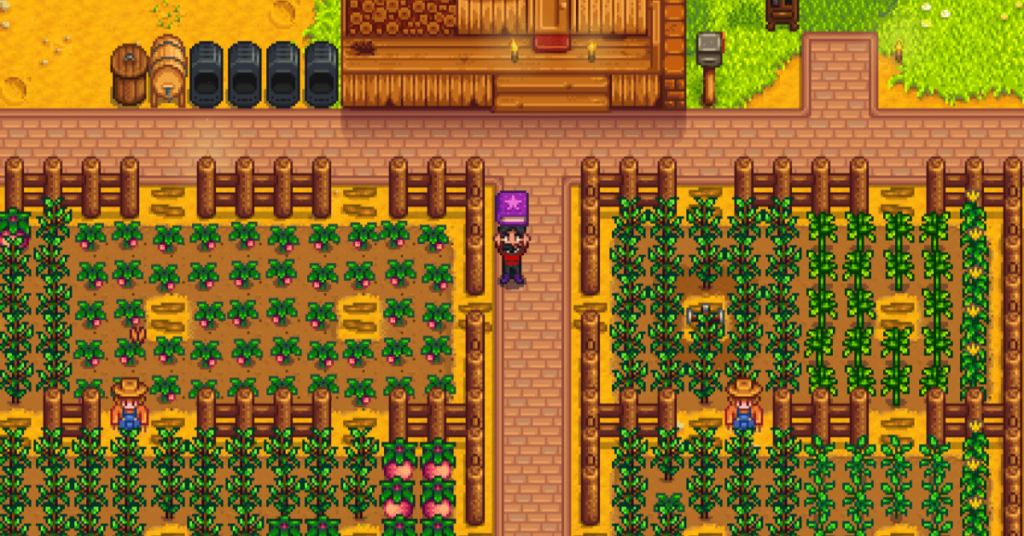 Dove trovare il libraio in Stardew Valley
