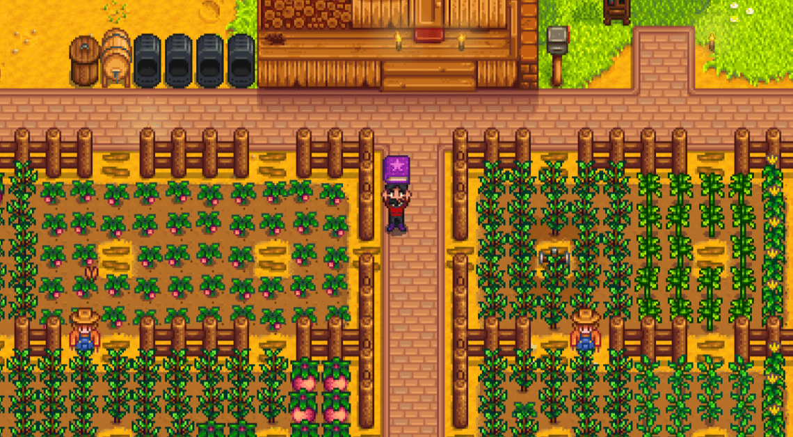 Dove trovare il libraio in Stardew Valley
