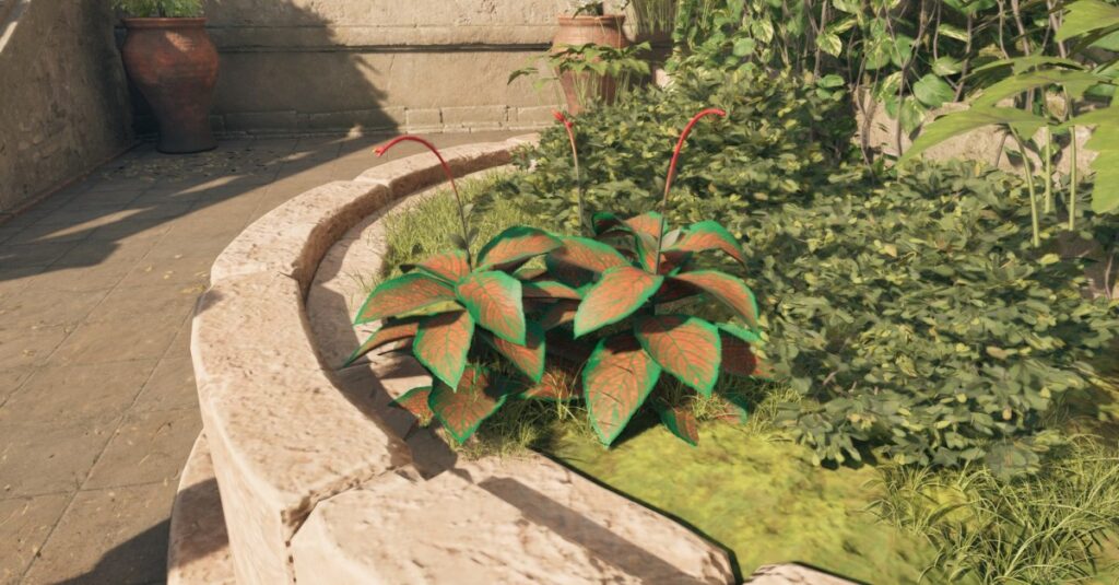 Come ottenere la scala paradisana in dichiarazione