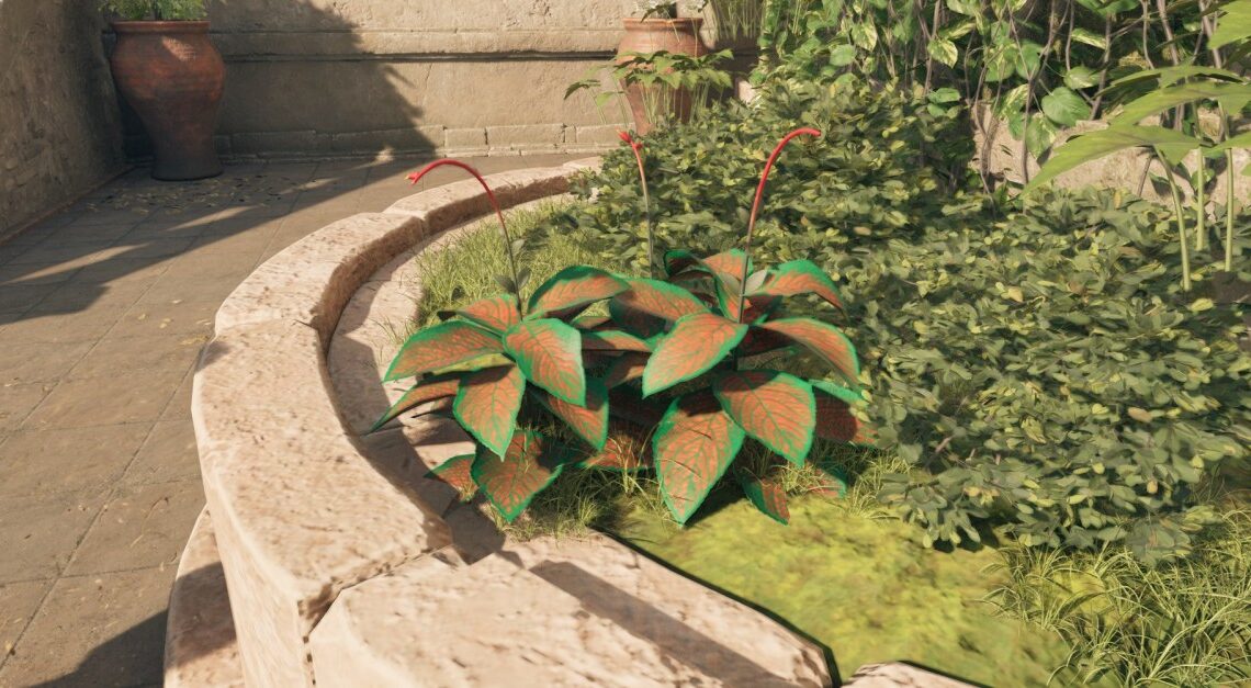 Come ottenere la scala paradisana in dichiarazione