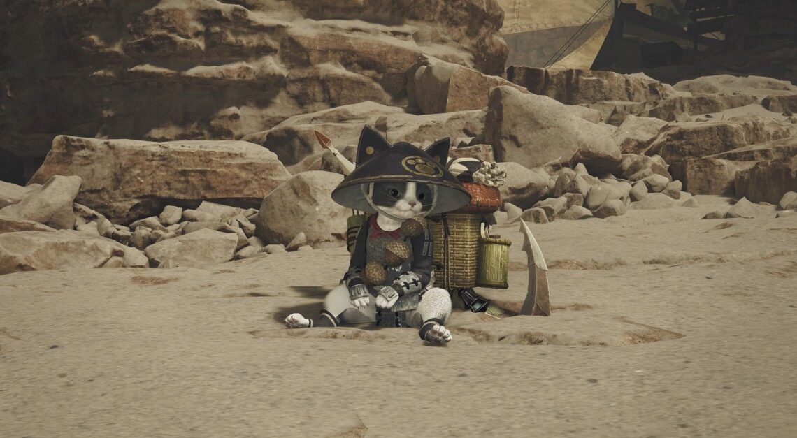 Come schierarsi o stare in piedi il tuo Palico in Monster Hunter Wilds