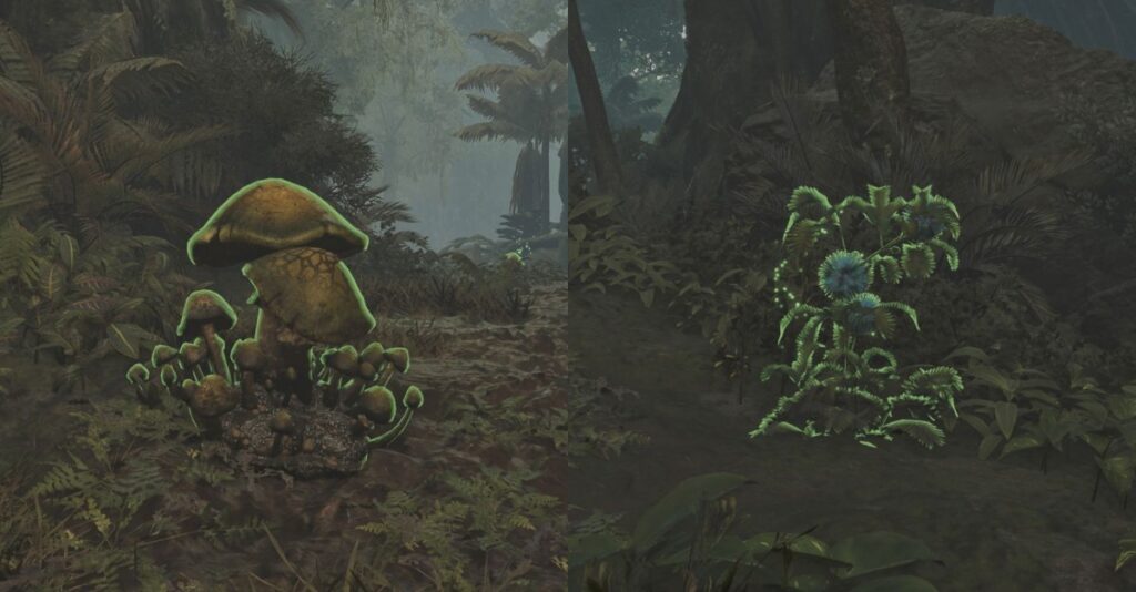 Come ottenere bombe tranr in mostri cacciatori di caccia