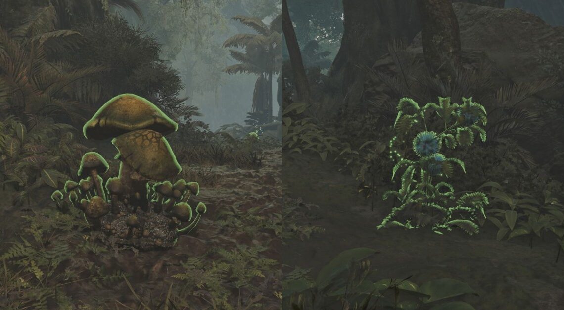 Come ottenere bombe tranr in mostri cacciatori di caccia