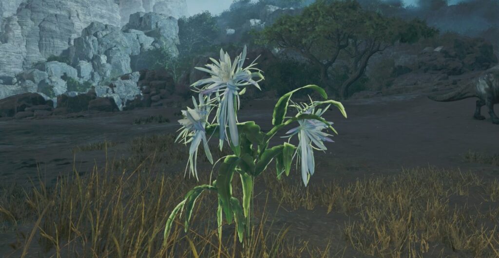 Come ottenere polline di fioriere da notte in Monster Hunter Wilds