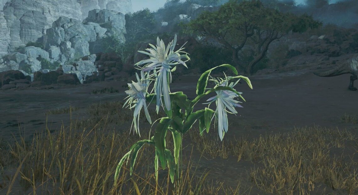 Come ottenere polline di fioriere da notte in Monster Hunter Wilds