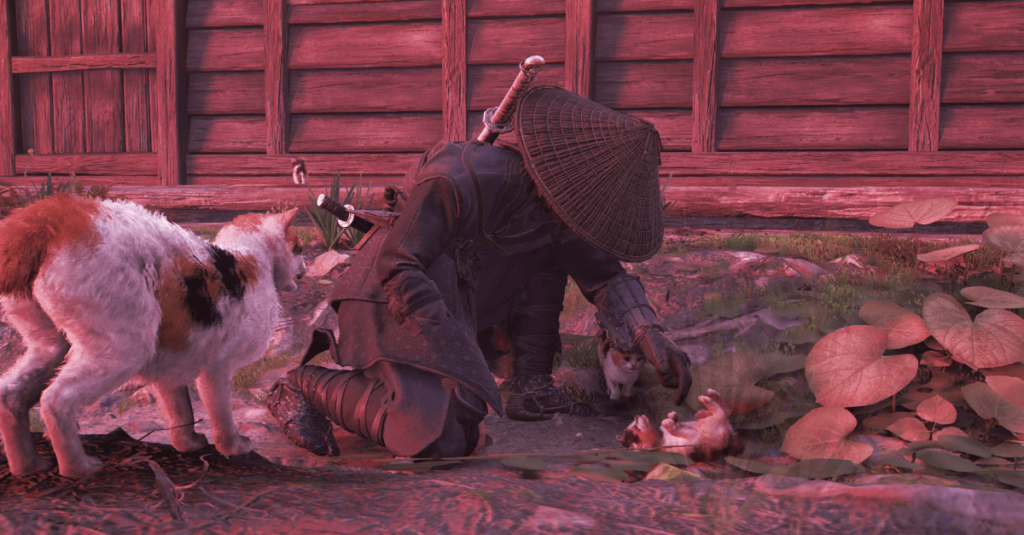 Dove trovare "Cat Island" in Assassin's Creed Shadows