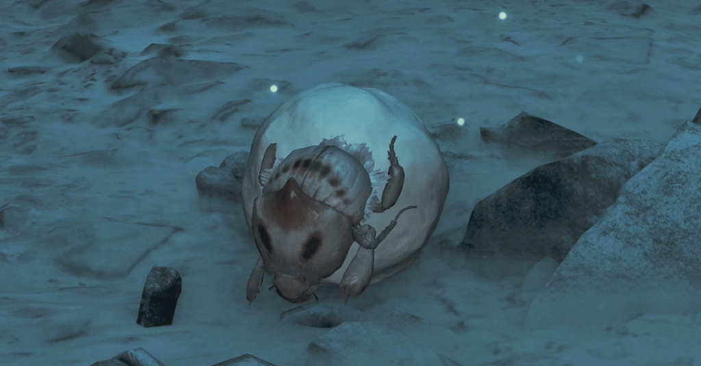 Dove trovare coleotteri di brima in mostri cacciatori selvatici