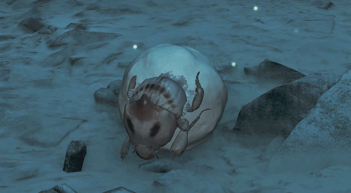 Dove trovare coleotteri di brima in mostri cacciatori selvatici