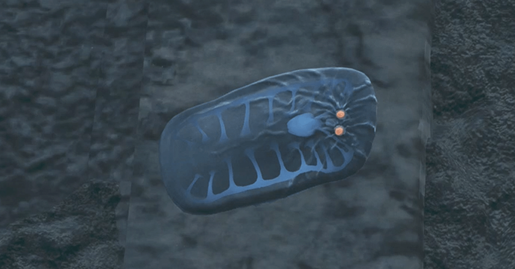 Dove trovare gillopodi in mostri cacciatori selvatici