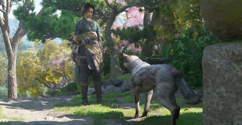 "Gettata nei cani" per la procedura dettagliata per le ombre del credo di Assassin