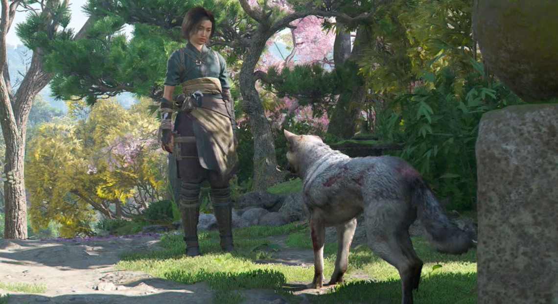 "Gettata nei cani" per la procedura dettagliata per le ombre del credo di Assassin