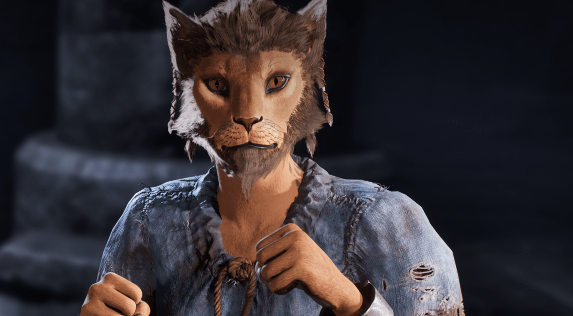 Le migliori razze e origini da scegliere in oblivion rimasterite