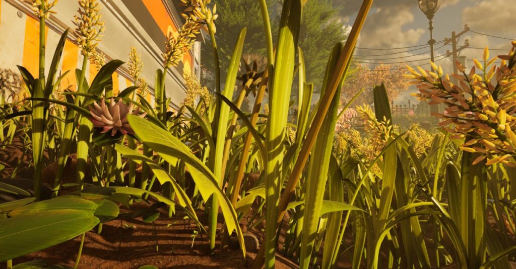 Dove trovare gli steli di erba in macinata 2