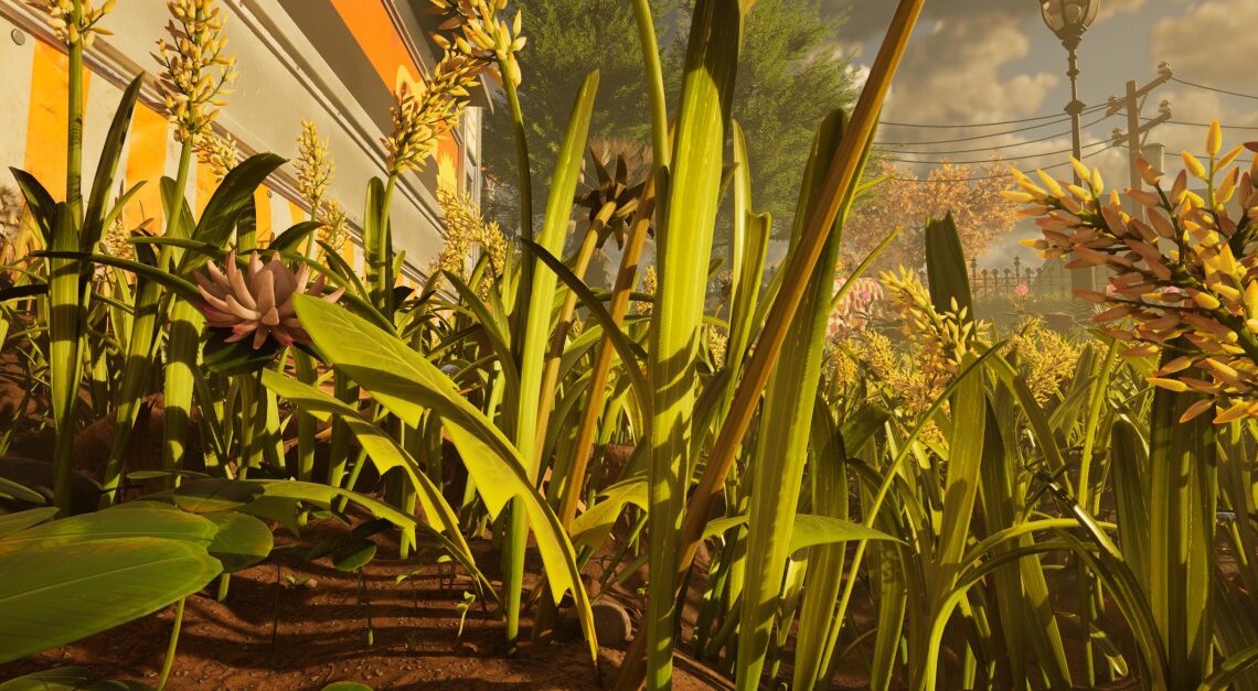 Dove trovare gli steli di erba in macinata 2