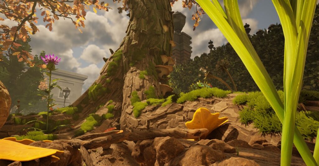 Dove trovare gusci di ghiande e top ghiande in macinate 2