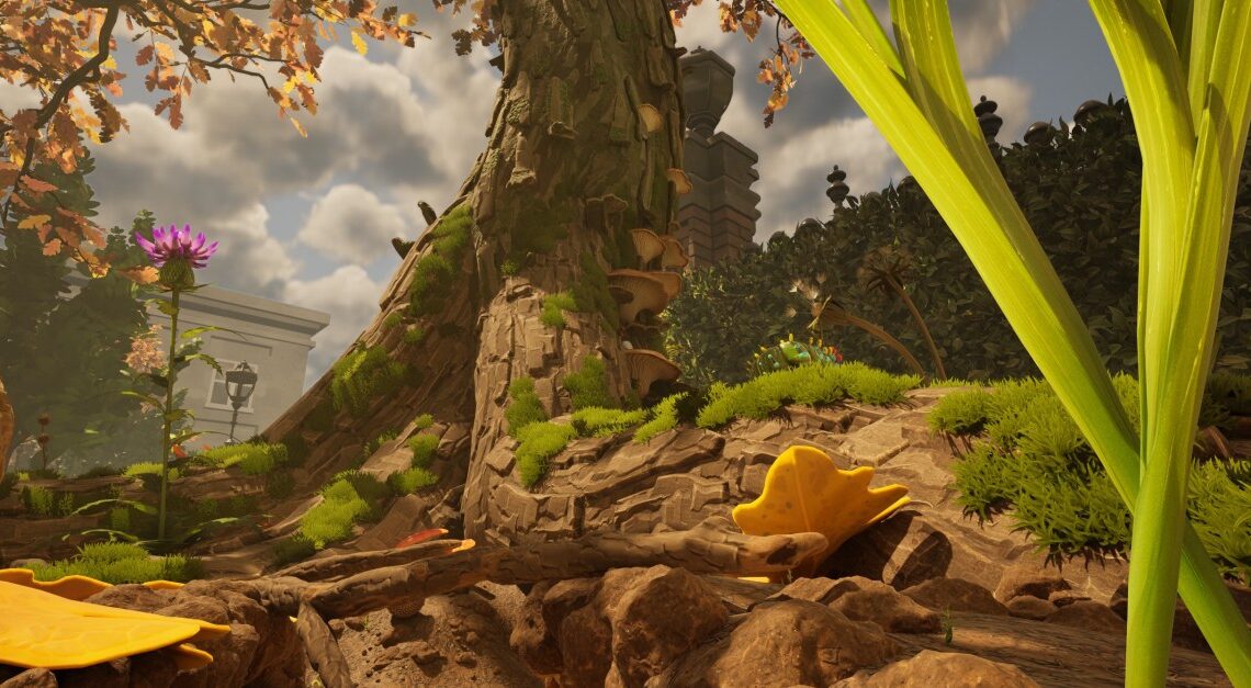 Dove trovare gusci di ghiande e top ghiande in macinate 2