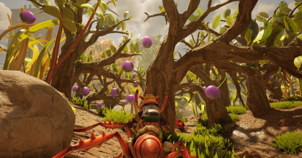 Dove trovare mirtilli per la pelle di mirtillo in macinata 2