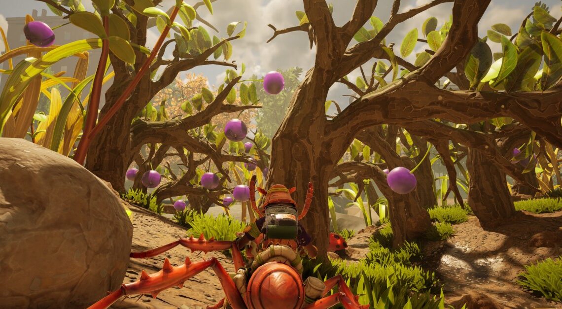 Dove trovare mirtilli per la pelle di mirtillo in macinata 2