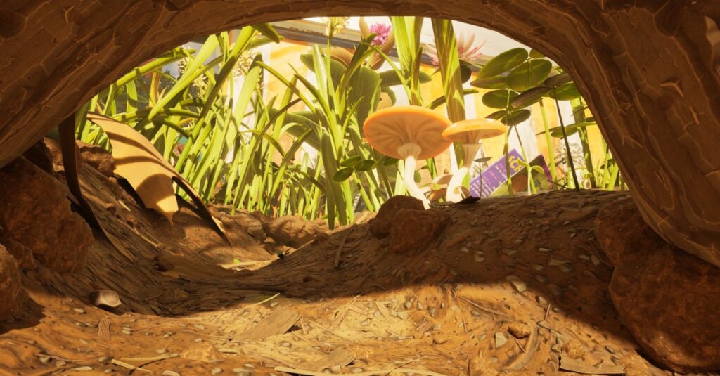 Dove trovare semi di erba in macinati 2