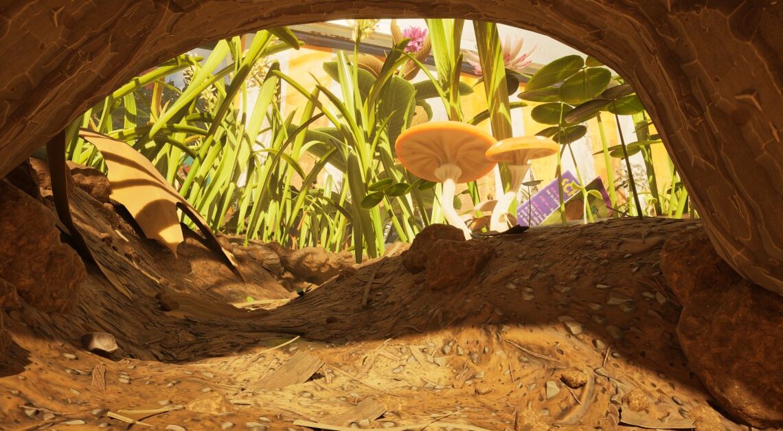 Dove trovare semi di erba in macinati 2